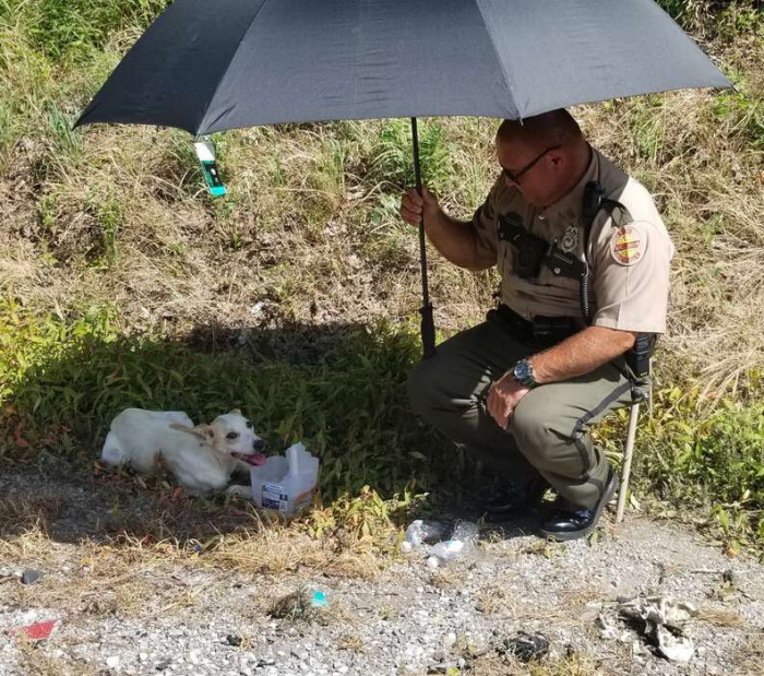 The cop held an umbrella to shield the dog from the blazing sun