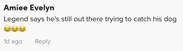 Yellow Labrador swimming outdoors, heading away while owner says hello