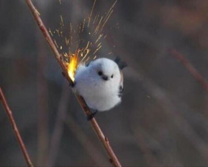 48. Fast and Furious.