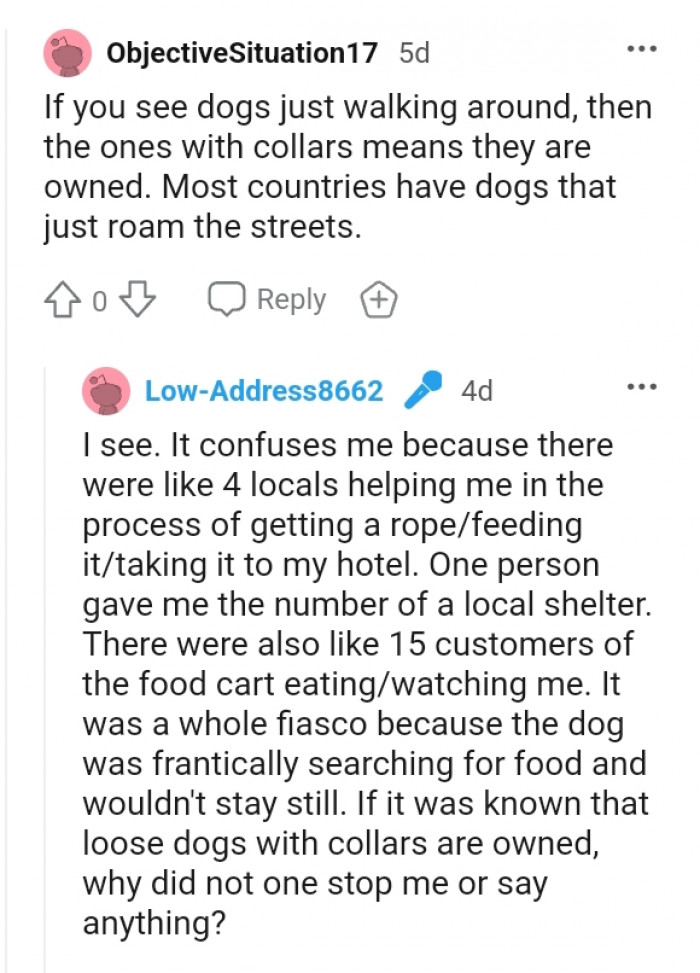 Most Countries Have Dogs That Just Roam the Streets