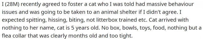 He agreed to foster a cat to prevent its owner from taking it to a shelter