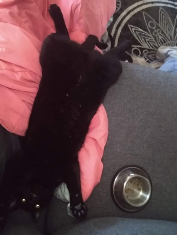 12. "He was sleeping in my arm, cradled like a baby. But I had to move my arm, so I slid it out from underneath him, and he just laid there like this for about 15 minutes, staring into the void."