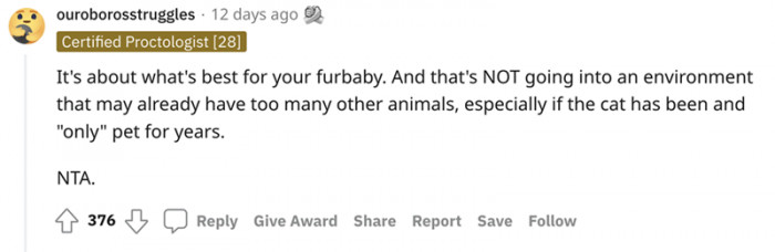 The whole thing is all about what's best for the cat