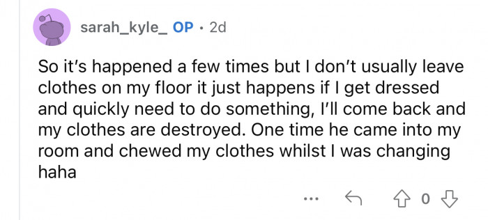 It doesn't take much time for the dog to start causing damage.