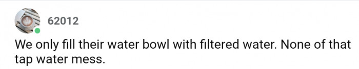 13. Only filtered water in their bowls