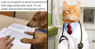 21 Of The Best Images From Social Media That Showcase Just How Sweet Cats And Dogs Can Be