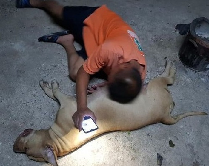 “Our Beloved Dog Died Defending Us From the Snake. My Heart Is Broken.”