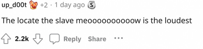 2. When your cat is the boss at home