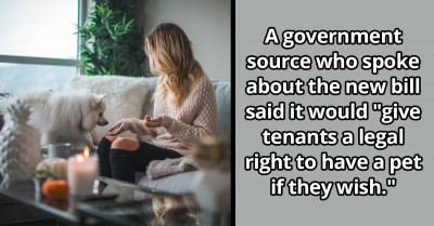 New Bill To Give Tenants In The UK The Legal Right To Keep A Pet