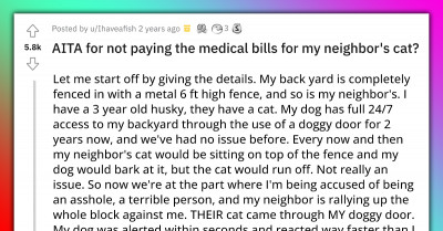 Redditor's Husky Attacks and Injures Neighbor's Trespassing Cat and Was Asked to Pay the Vet Bills