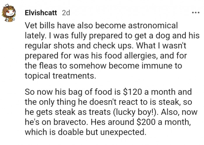 20. I was fully prepared to get a dog