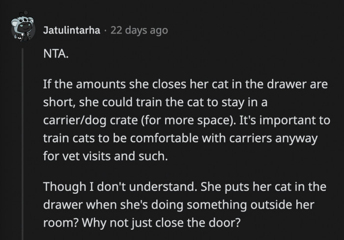 Another solution is for OP's sister to train the cat to get used to a carrier. That way, the cat won't escape, and it also wouldn't be locked in a cramped space where it could potentially get hurt.