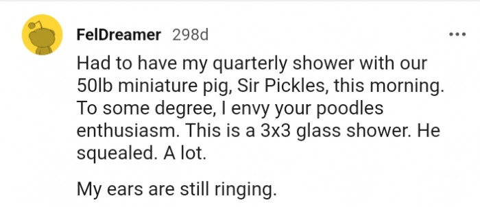 12. My Ears Are Still Ringing from the Squeal