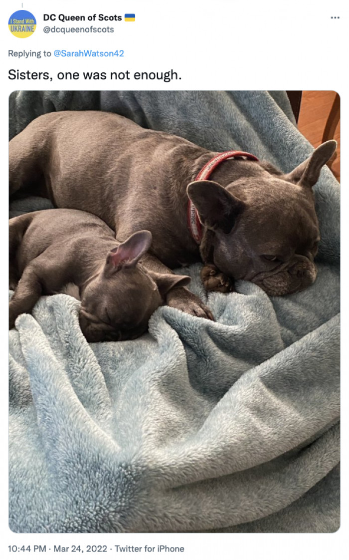 22. Two will always be better!