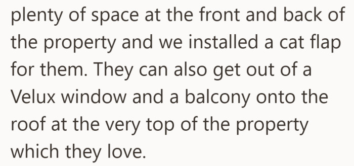 They built a little paradise for their pets, complete with a cat flap and roof access.