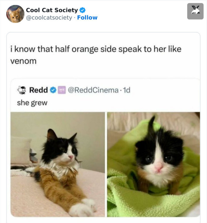 8. The color combo is so unique