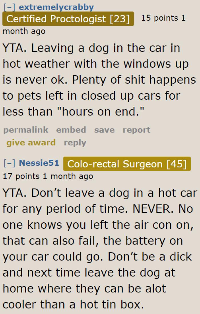Even if the OP left at a time when it was cooler, it doesn't change the fact that it was still hot outside. Their dog might have been in danger.