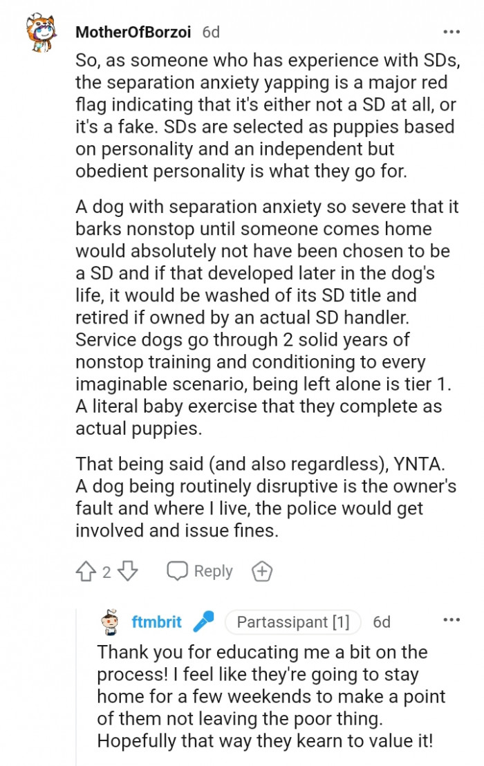 Service Dogs Are Selected as Puppies Based on Personalities