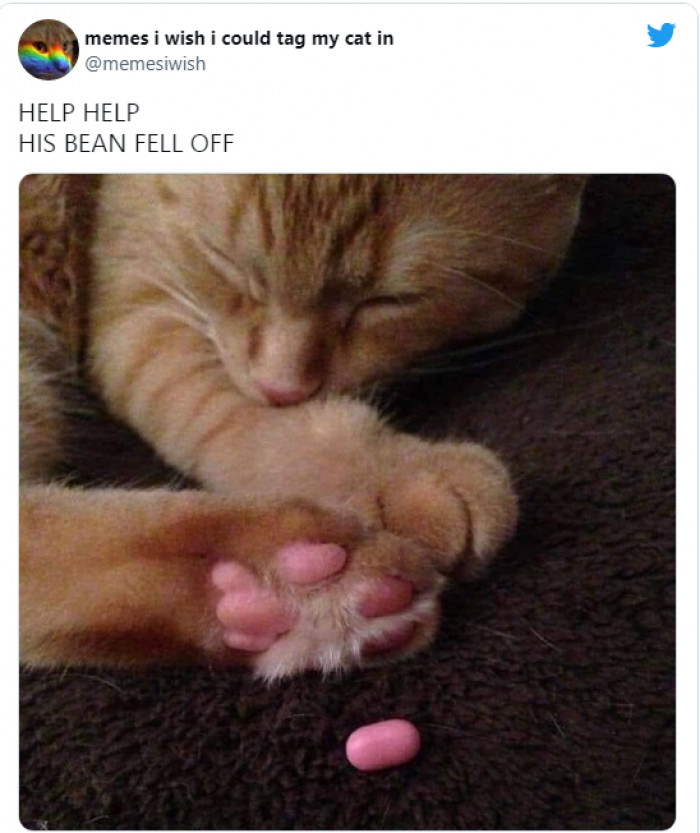 5. Darn it, don't play with my feelings like that