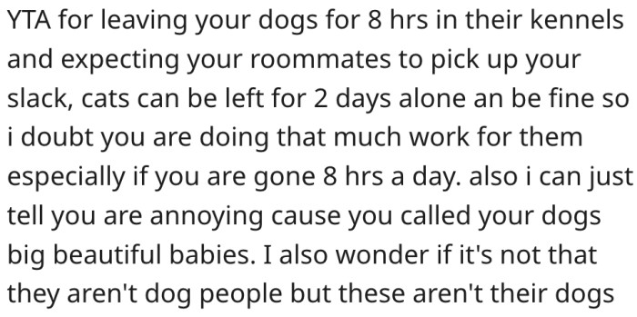 2. She's in the wrong for leaving her dogs in their kennels for eight hours.