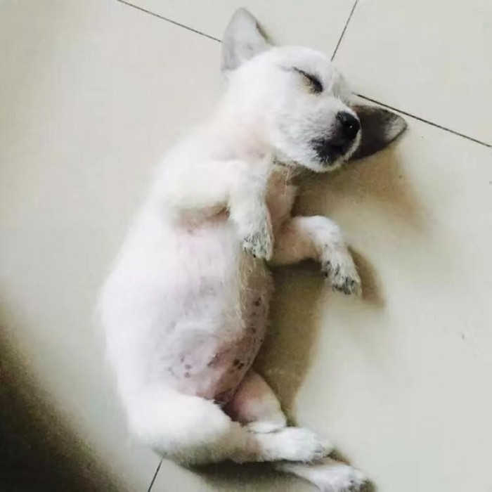 2. Absolutely yes!!!