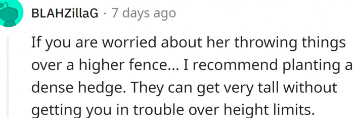 Planting a dense hedge might work