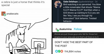 15 Of The Most Hysterically Funny Animal Posts You Will Ever See