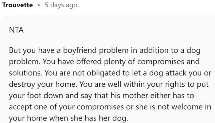 It seems that OP has a boyfriend problem in addition to a dog problem.