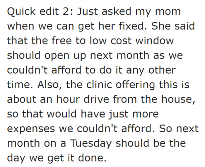 They plan to have the dog spayed soon.