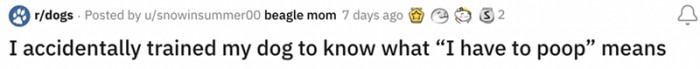 9. Dogs are smarter than many people give them credit for.