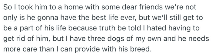 After much back and forth, OP decided to give the dog to some dear friends who she trusted to take good care of him
