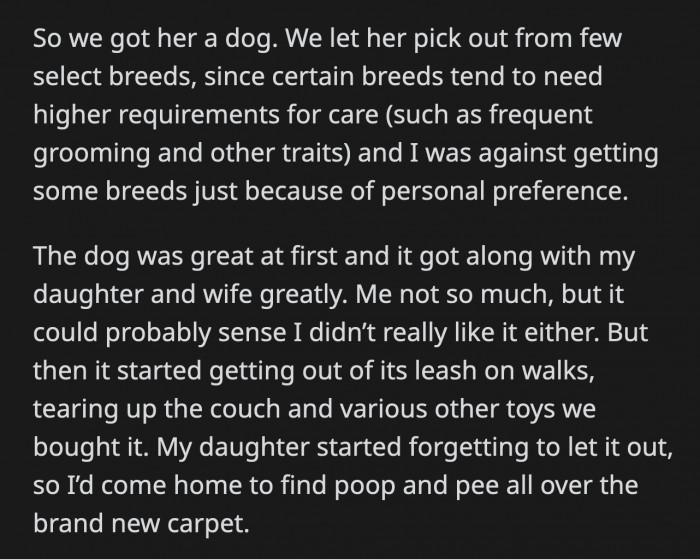 Eventually, He Started Getting Out of His Leash During Walks and Destroying Items at Home. His Daughter Also Neglected Taking Him Out, So OP Came Home to Poop and Pee Staining Their New Carpet.