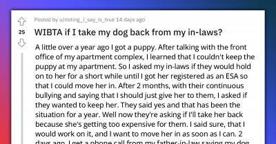 A Redditor Plans To Not Return Their In-Law's Dog After Paying For All Of Her Vet Clinic Expenses