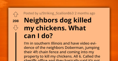Man Reports Neighbor's Dog for Murdering His Beloved Chickens, Seeks Legal Advice Online as the Case Was Dismissed