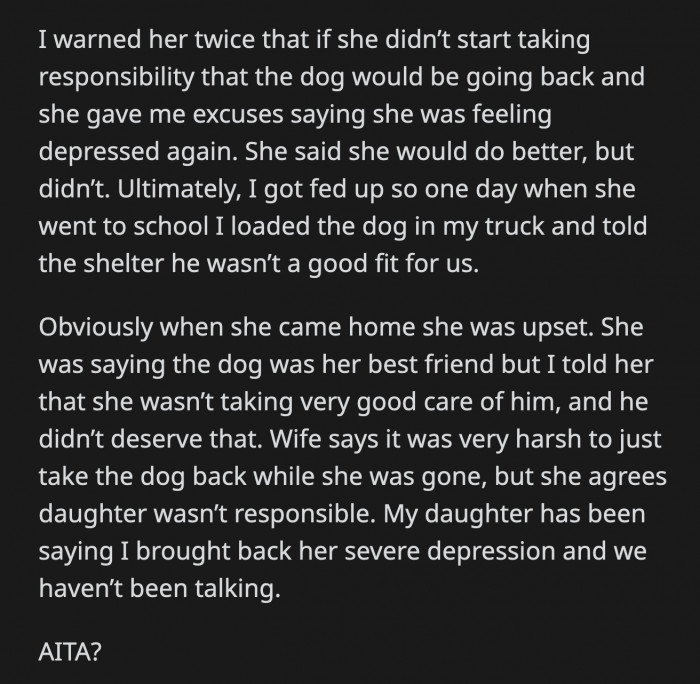 OP Warned His Daughter Twice That If She Continued to Neglect Her Dog, He Would Take Him Back to the Shelter