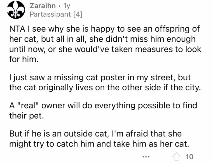 Real owners would try to find their pets no matter what.