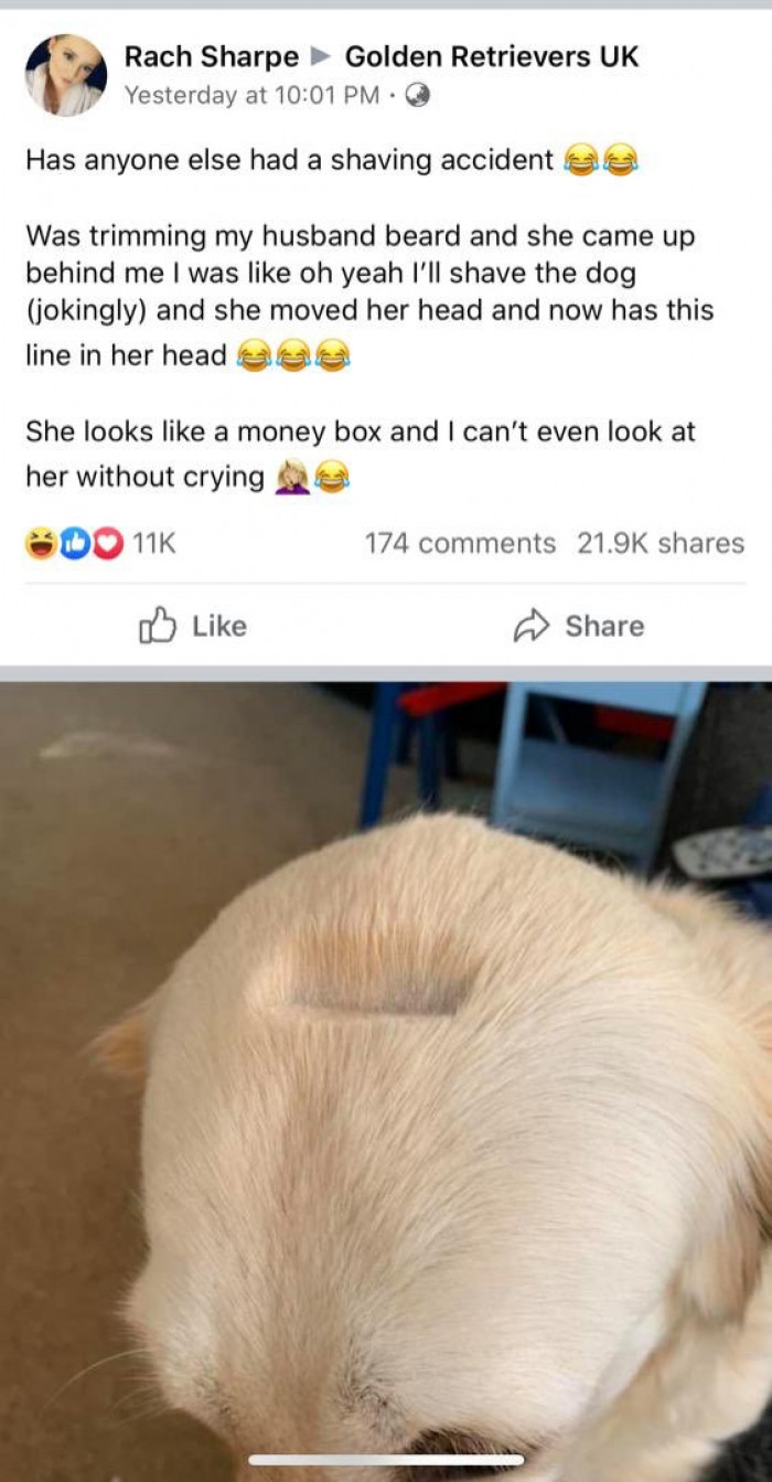 18. This is the best thing I've seen all day.