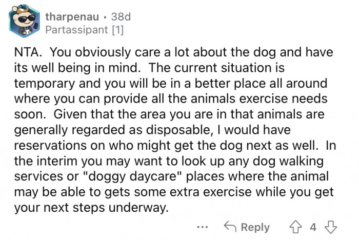 "You obviously care a lot about the dog."