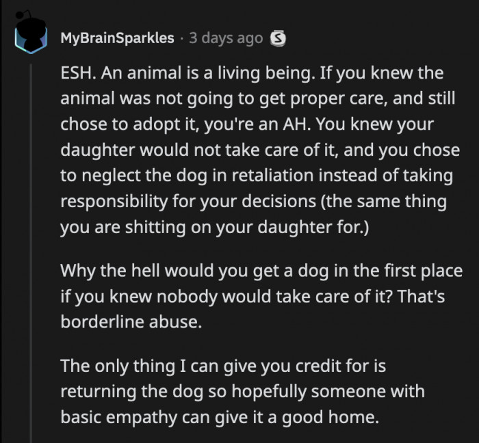 Many Comments Pointed Out That Everyone in the Story Failed the Dog. They Asked OP Why He Agreed to Get the Dog in the First Place.