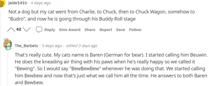 15. He answers to both Baren and Bewbew