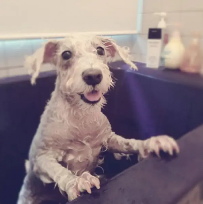 14. Bath-time, done and dusted