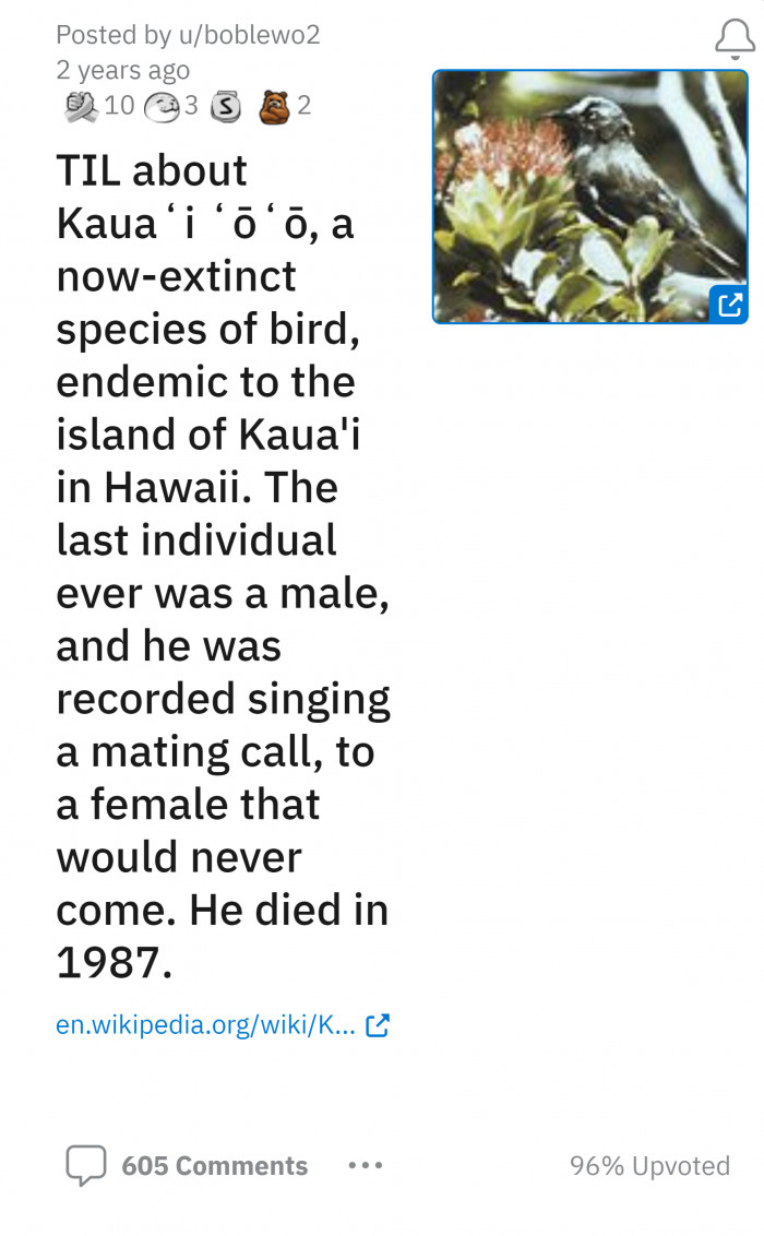 1. Meet this bird from Hawaii.