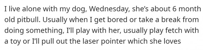 Redditor has a 6-month-old Pitbull dog.