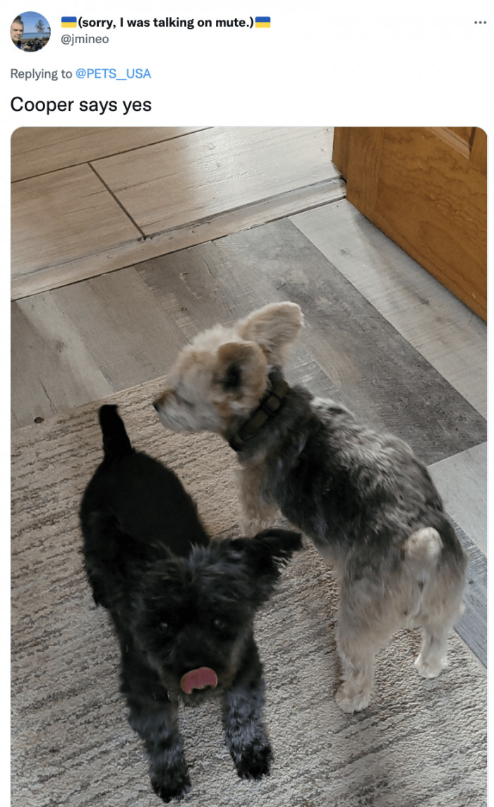 3. The happiest of the bunch