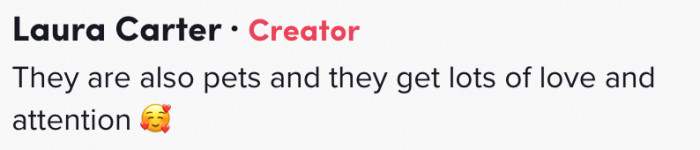 They get lots of love and attention