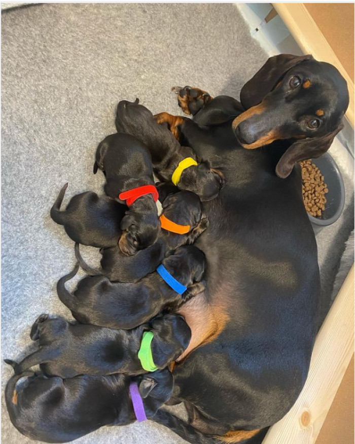 41. Mama looks concerned about all the attention