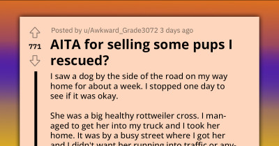 Redditor Rescues Pregnant Stray And Sells Puppies To Offset Vet Bills, Criticized By Sister For Not Gifting Her One