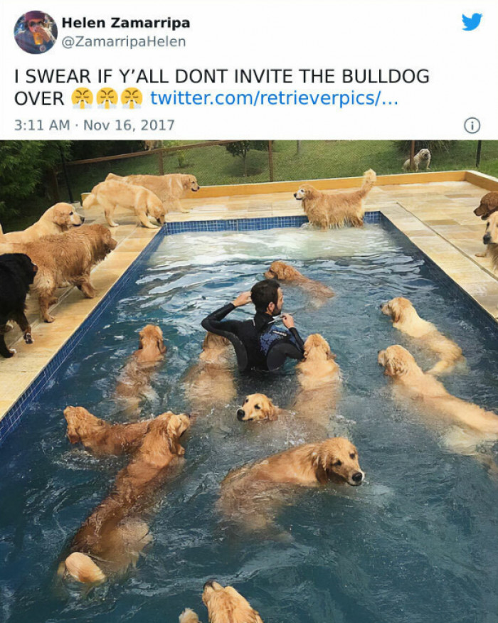 44. He'll just be at the poolside.