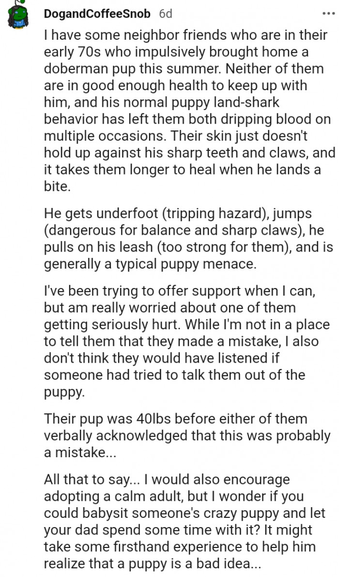 17. This Redditor encourages adopting a calm adult