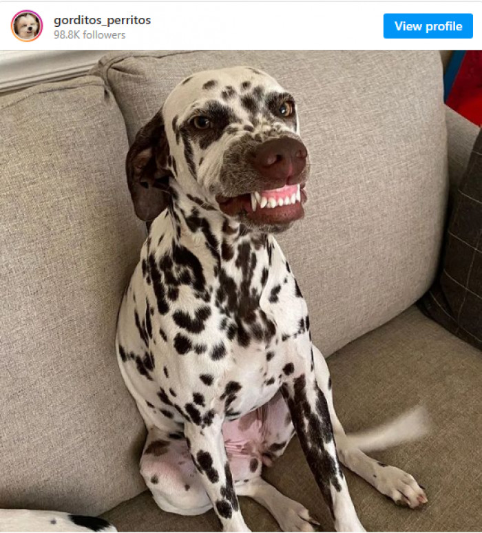 6. When you smile, everything around you automatically brightens up